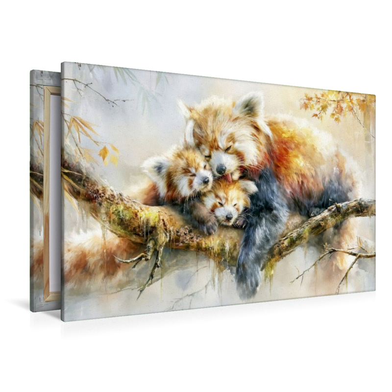 Auch Panda-Mamas lieben den Mittagsschlaf