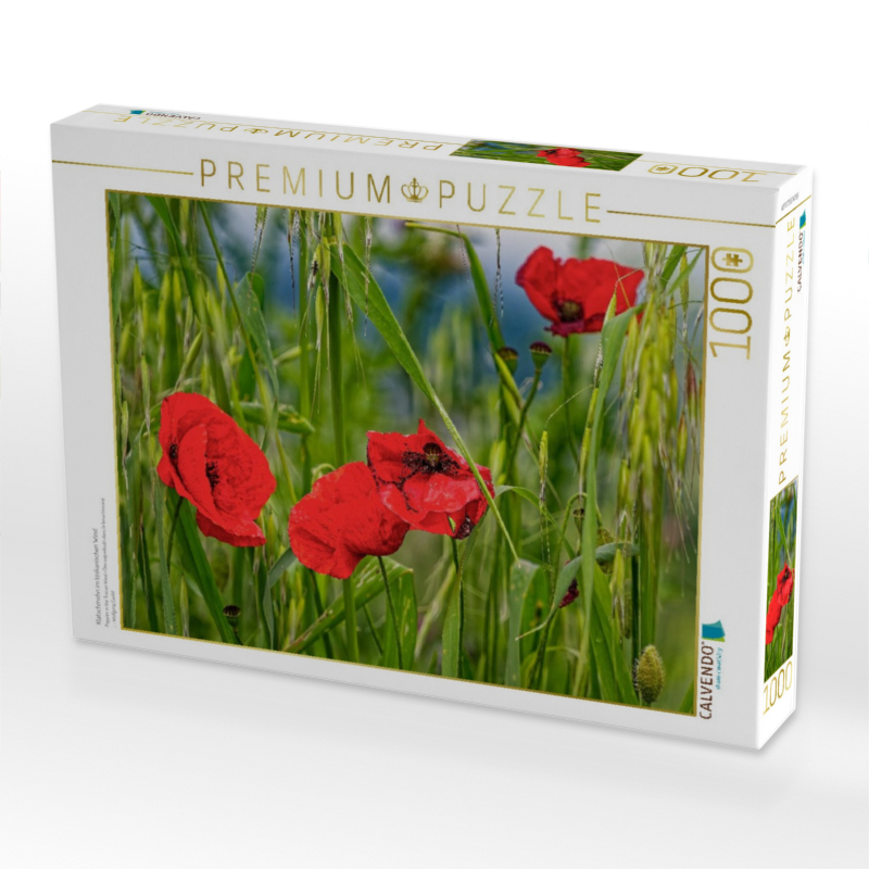 Klatschmohn im toskanischen Wind