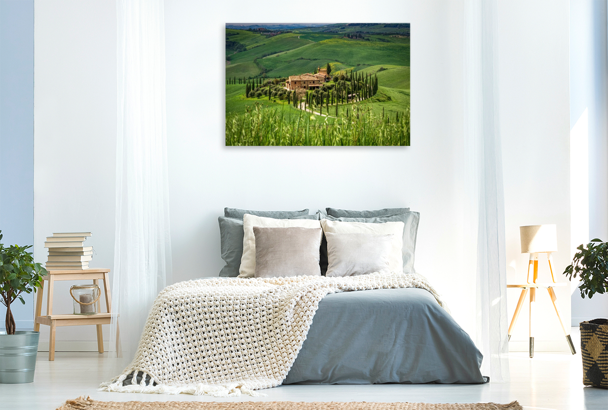 Zypressenallee zum Landgut in der Crete Senesi