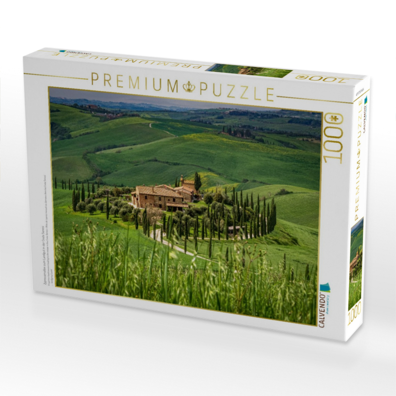 Zypressenallee zum Landgut in der Crete Senesi