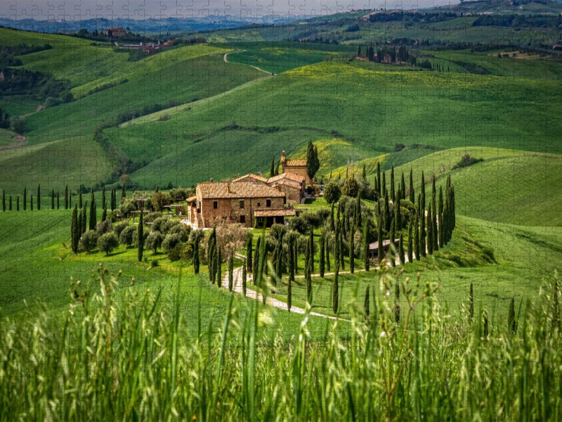 Zypressenallee zum Landgut in der Crete Senesi