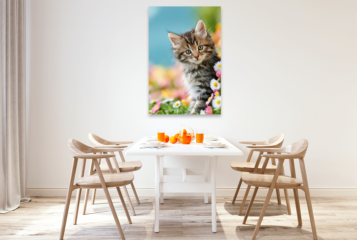 Ein Motiv aus dem Kalender Spaß mit Katzen