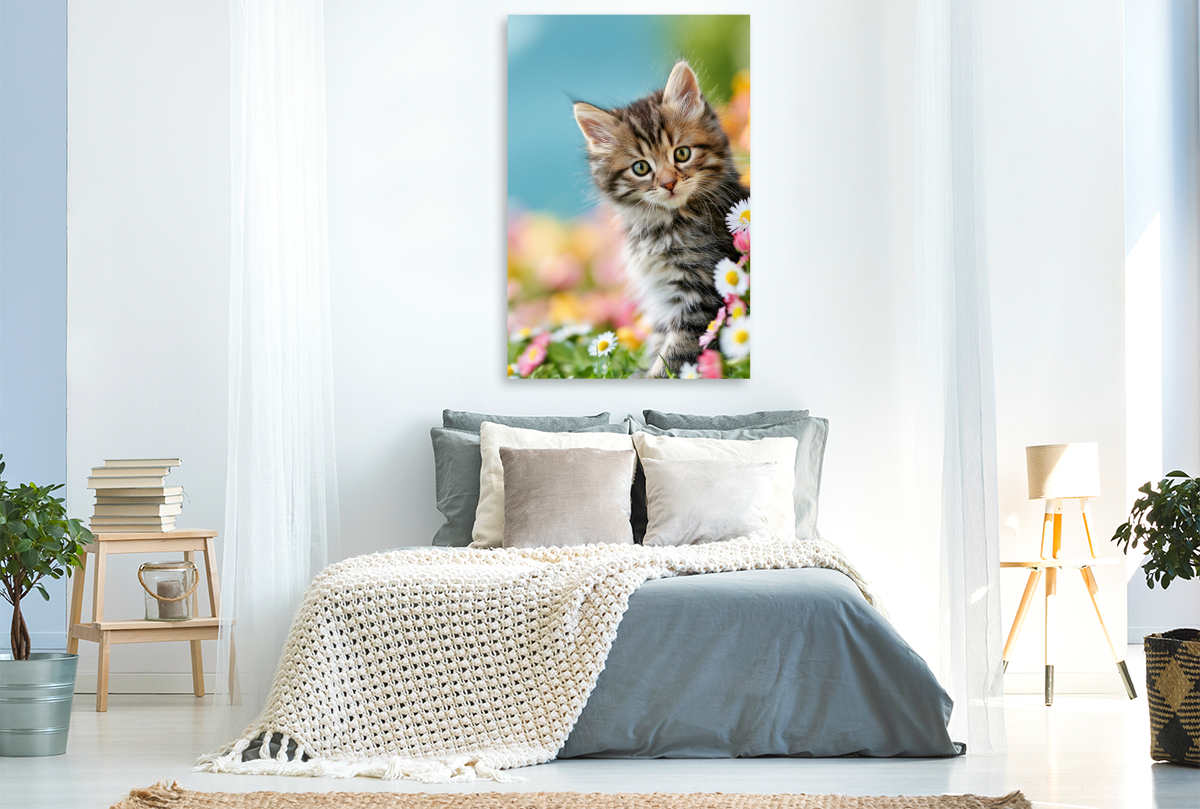 Ein Motiv aus dem Kalender Spaß mit Katzen