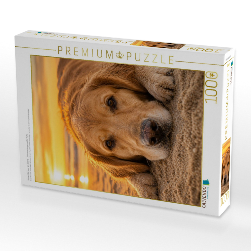 Golden Retriever am Strand – Sonnenuntergang voller Ruhe