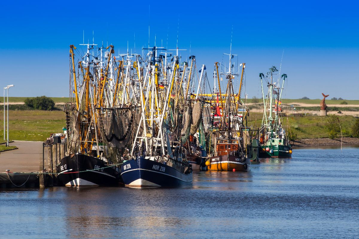 Krabbenkutter im Hafen, Greetsiel, Leybucht, Ostfriesland