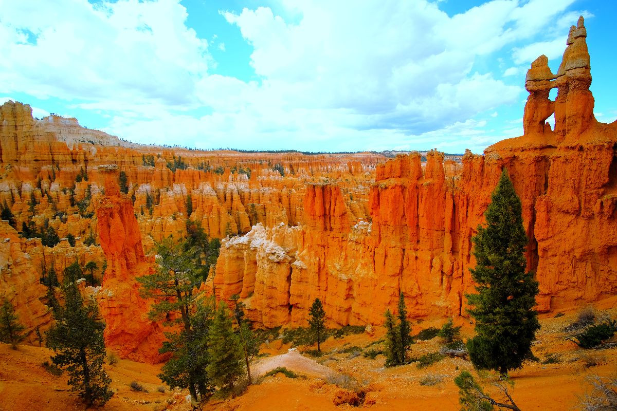 Bryce Canyon - Utah