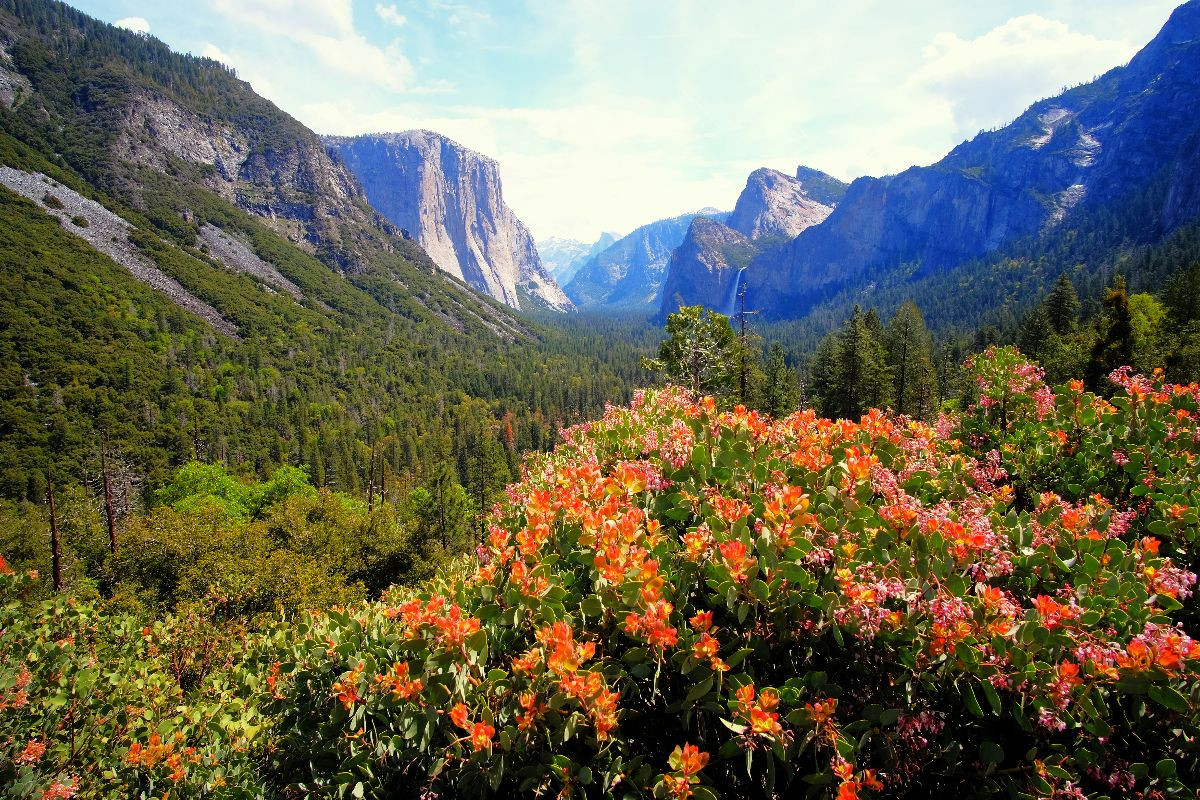 Yosemite Valley - Kalifornien