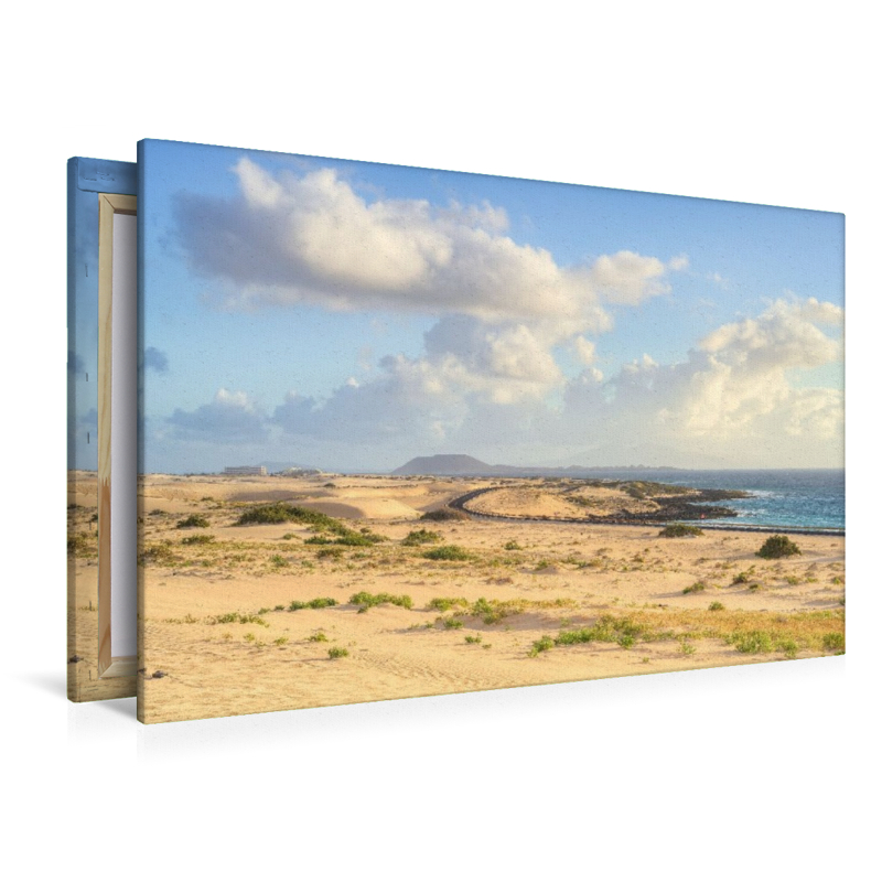 Dünen bei Corralejo auf Fuerteventura