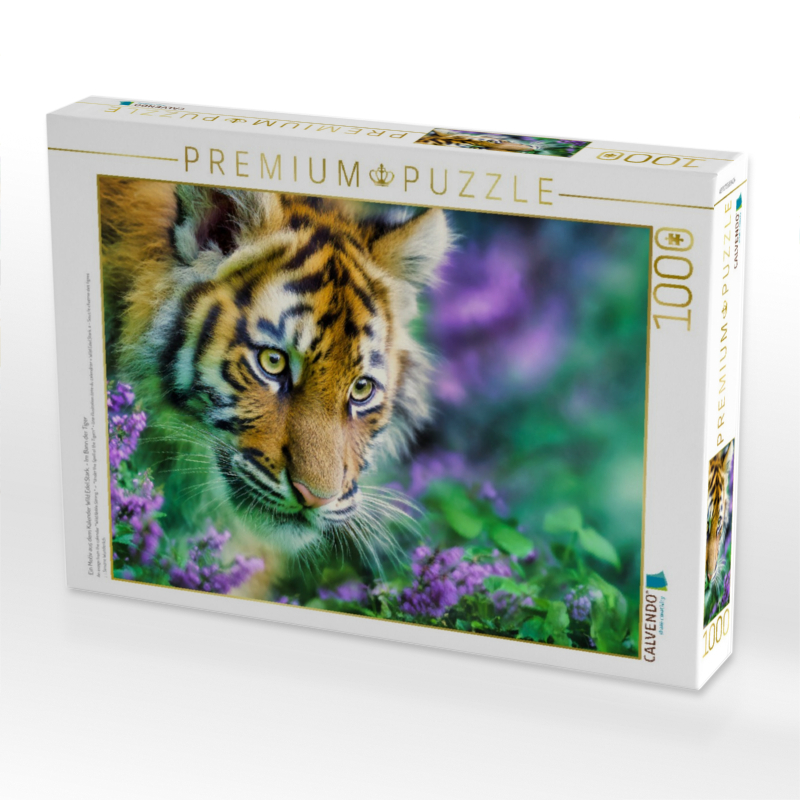 Ein Motiv aus dem Kalender Wild.Edel.Stark. - Im Bann der Tiger