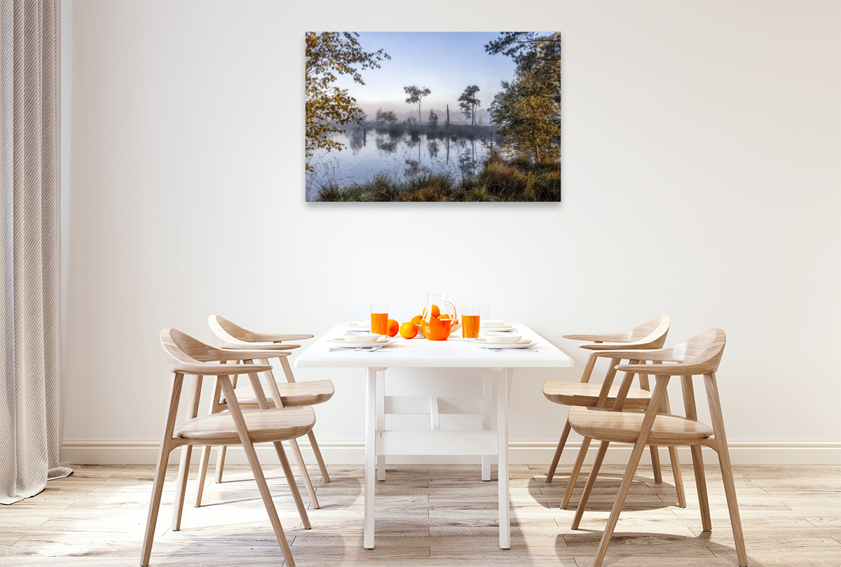Das Pietzmoor in der Lüneburger Heide im Morgenlicht