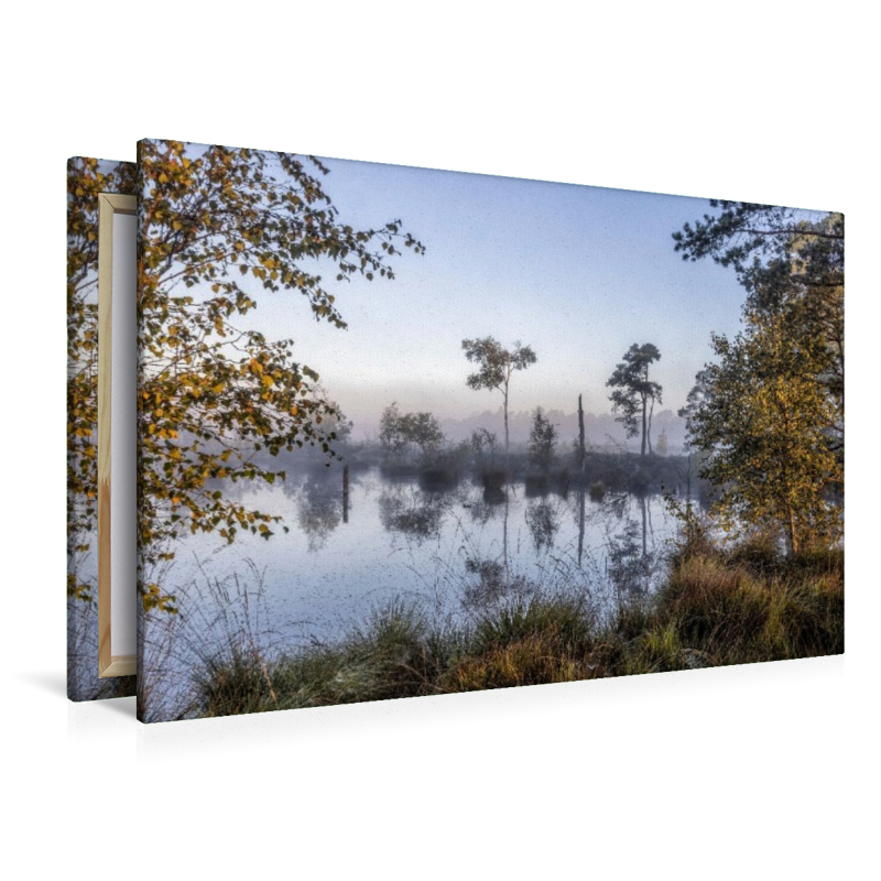 Das Pietzmoor in der Lüneburger Heide im Morgenlicht