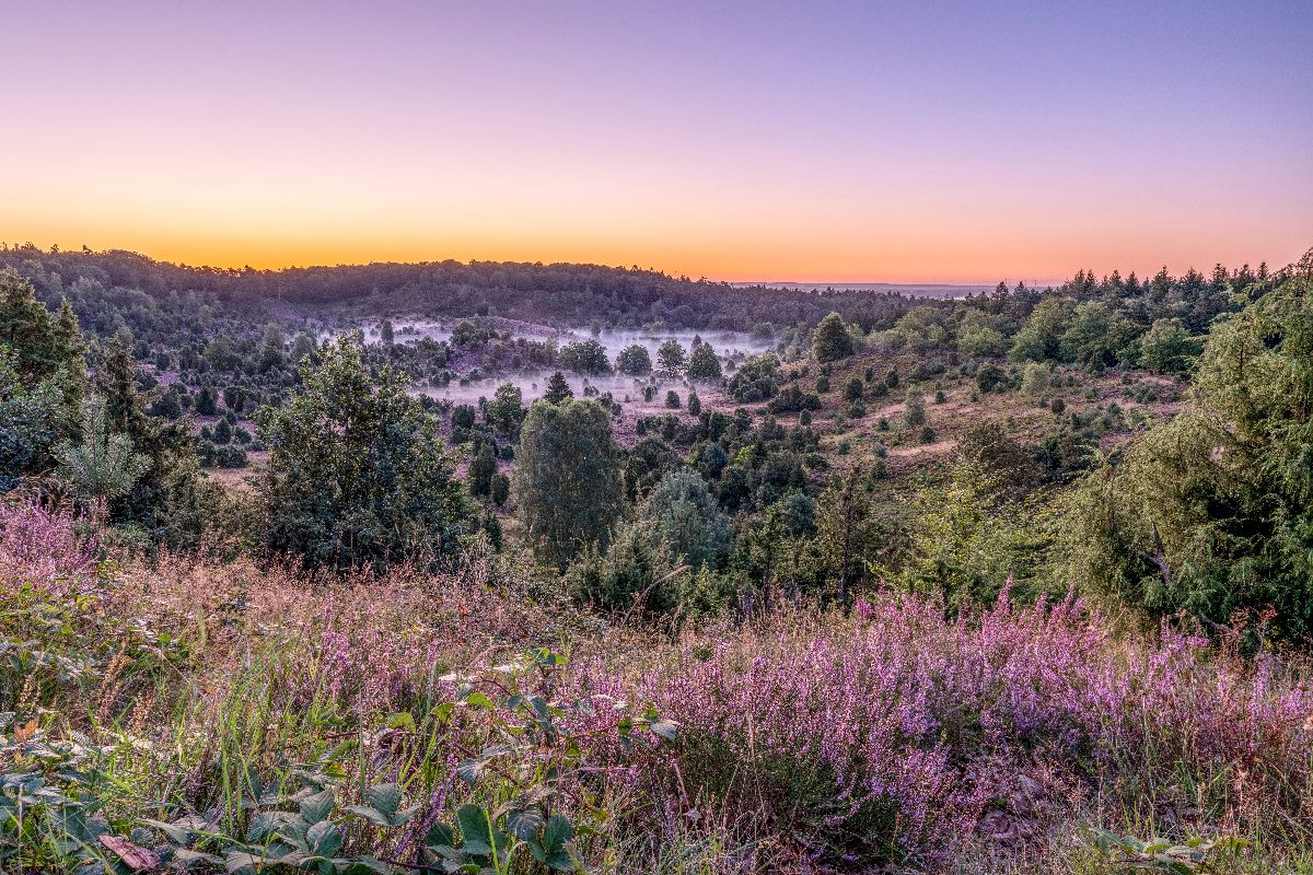 Der Totengrund in der Lüneburger Heide