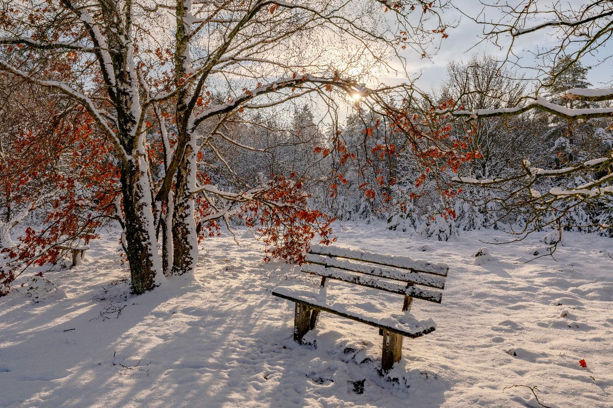 Winterzauber in der Lüneburger Heide