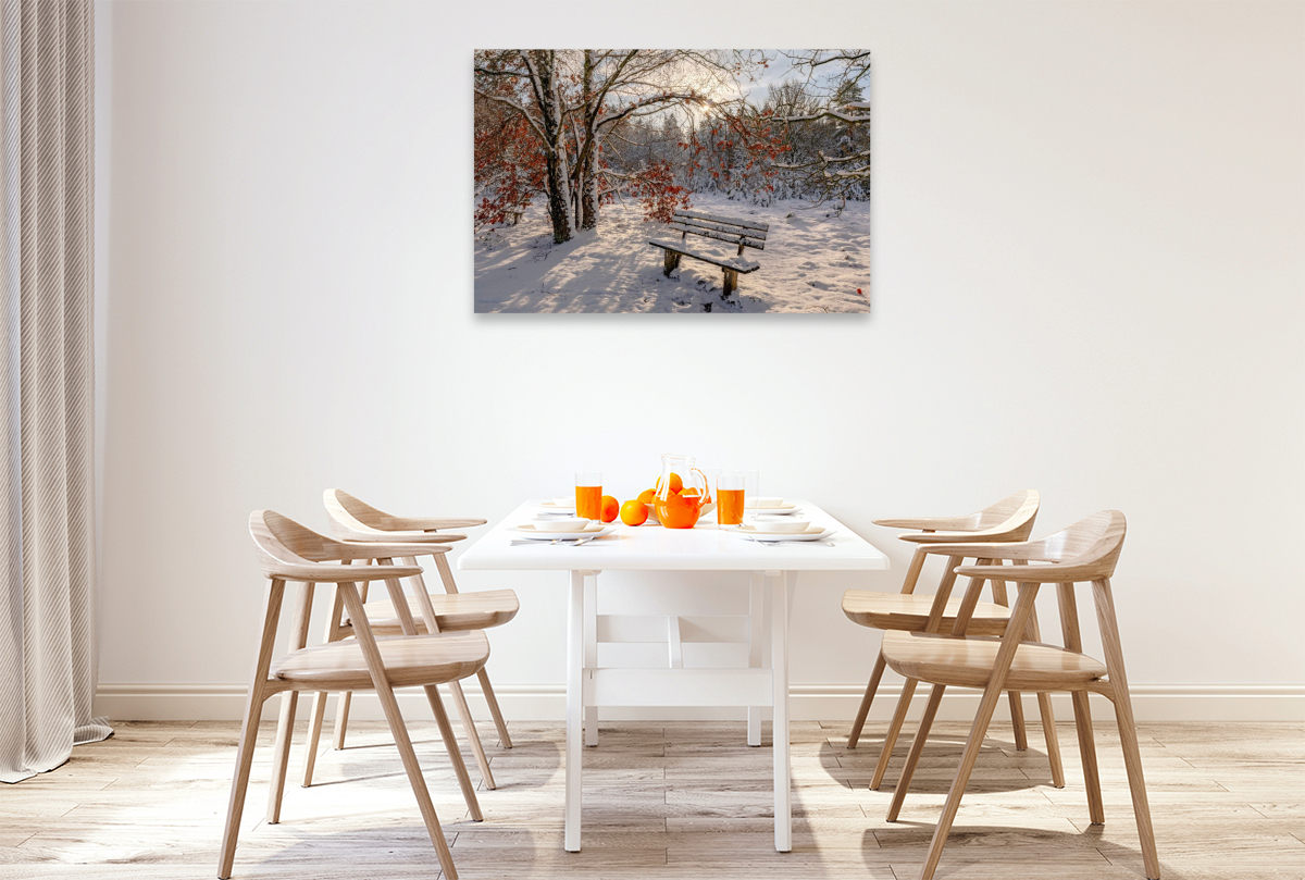 Winterzauber in der Lüneburger Heide
