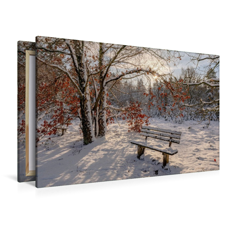 Winterzauber in der Lüneburger Heide