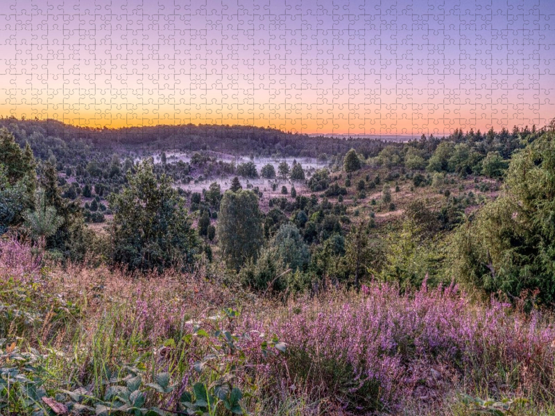 Der Totengrund in der Lüneburger Heide