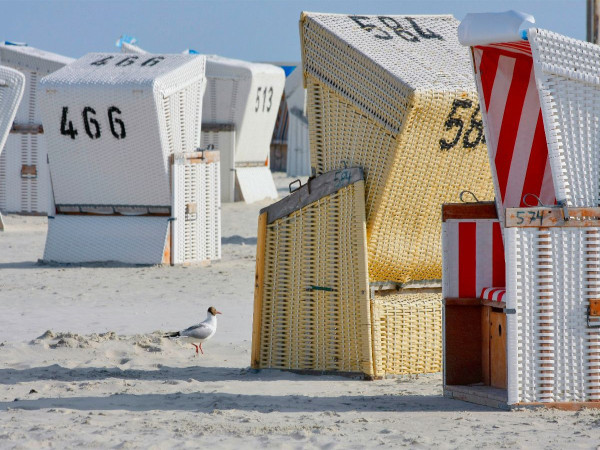 Möwe am Strand