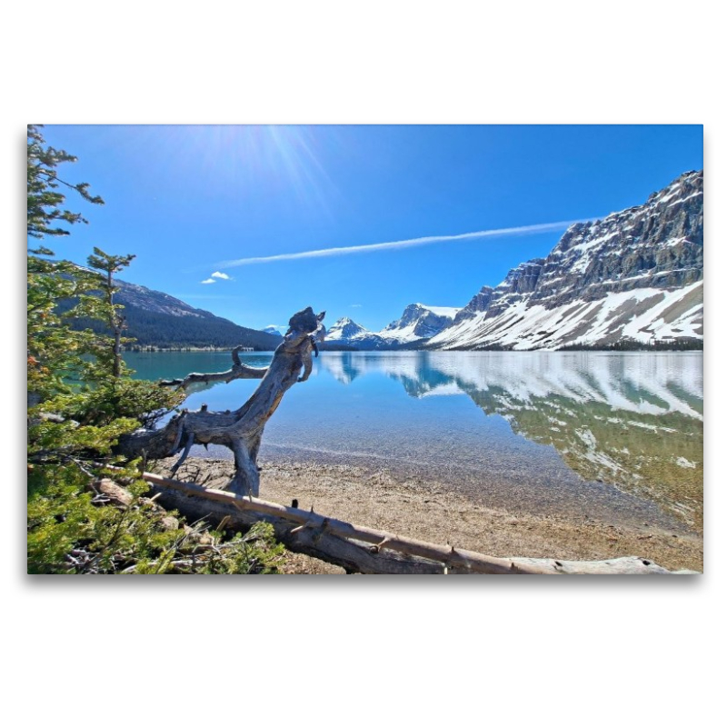 Bow Lake, Alberta