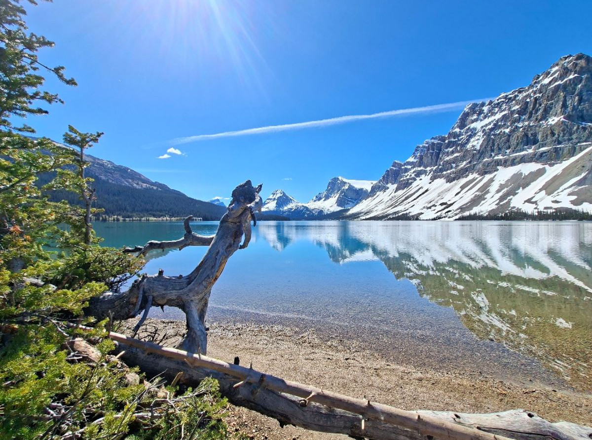 Bow Lake, Alberta