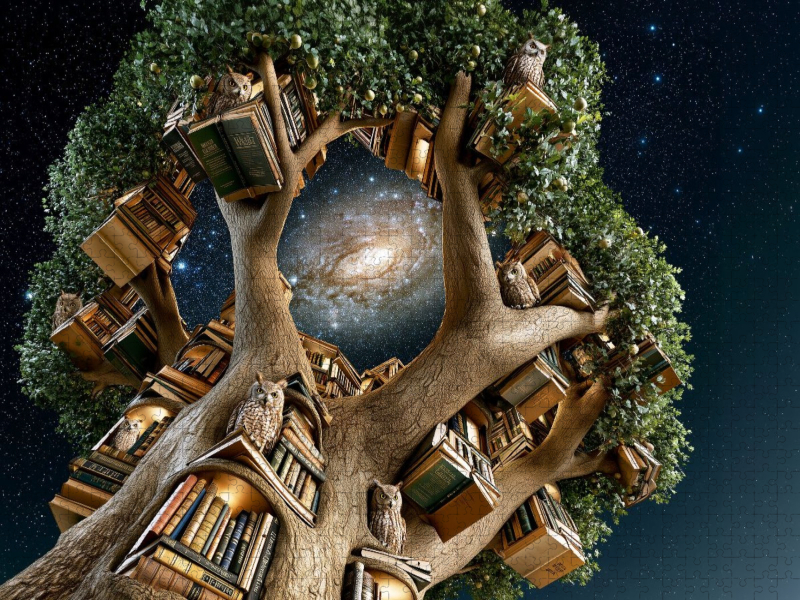 Der Eulen-Bücher-Spiralgalaxie-Baum