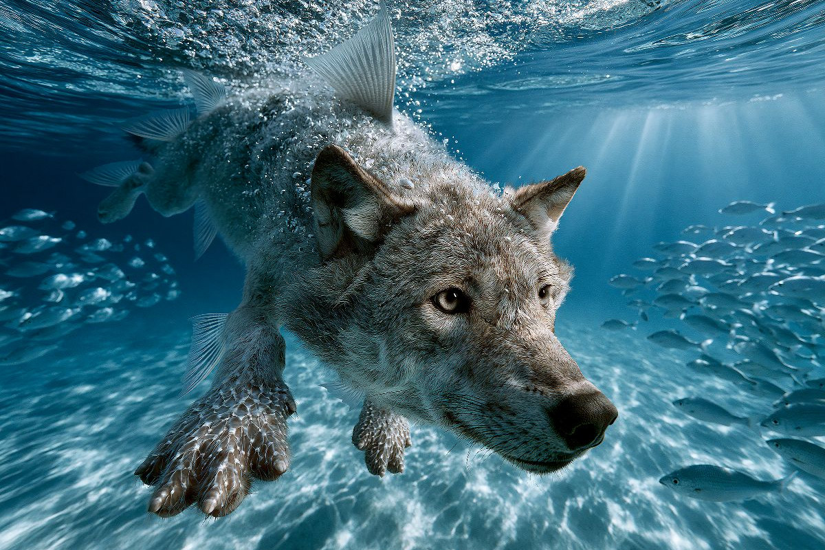Meereswolf