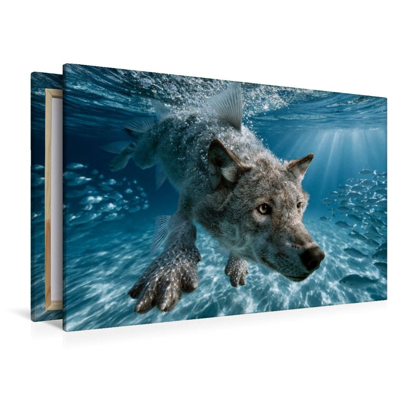 Meereswolf