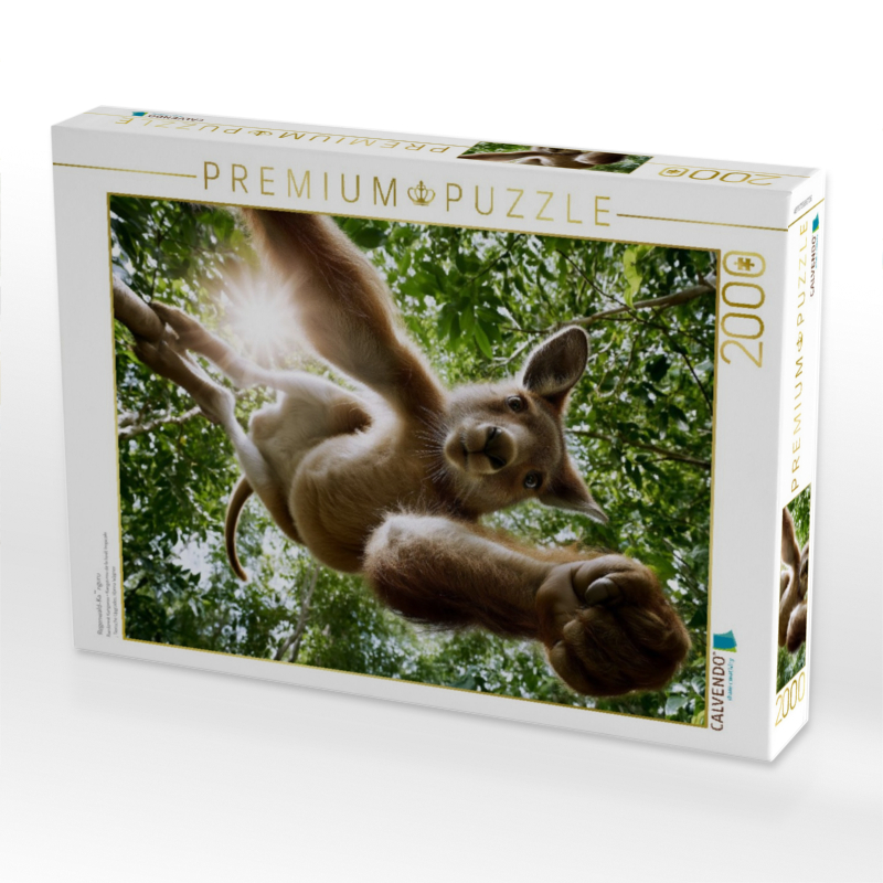Regenwald-Känguru