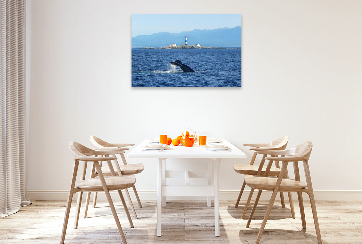Whale Watching am Race Rocks Lighthouse in British Columbia