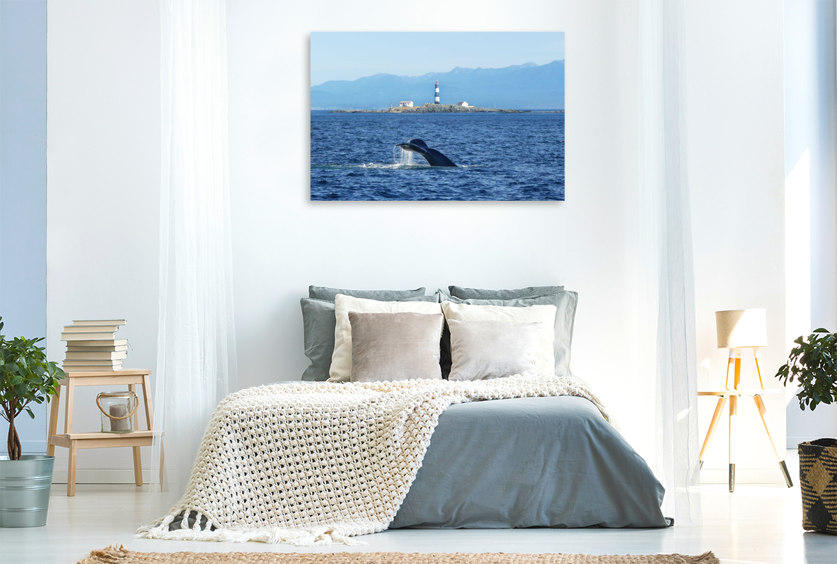 Whale Watching am Race Rocks Lighthouse in British Columbia