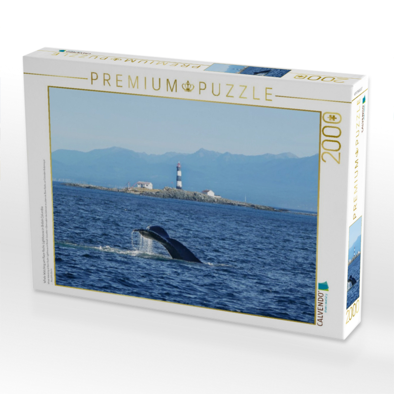 Whale Watching am Race Rocks Lighthouse in British Columbia