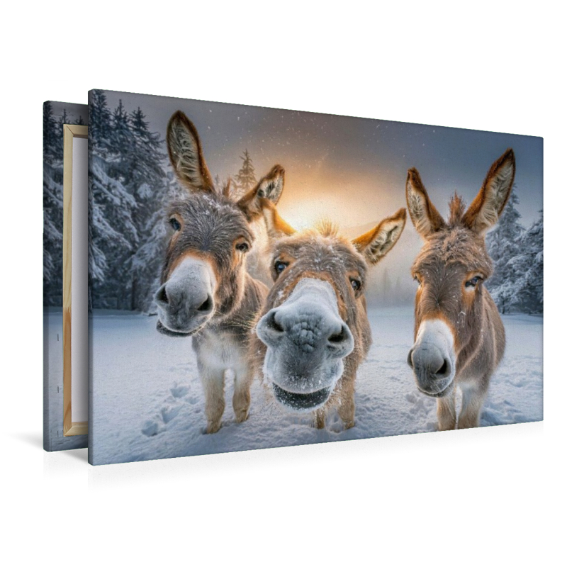 Schnee - so macht der Winter Spaß