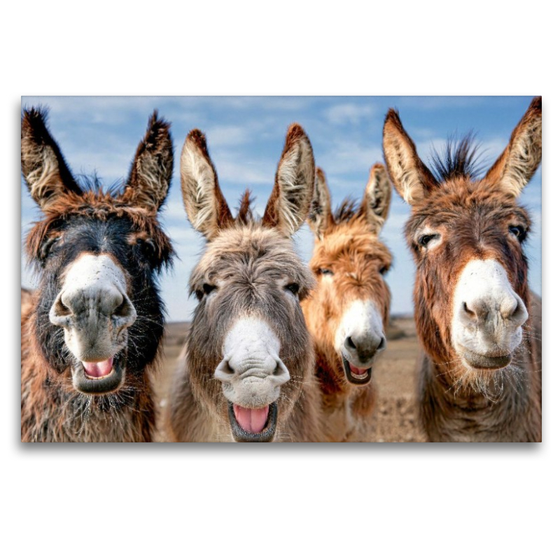Vier Eselfreunde