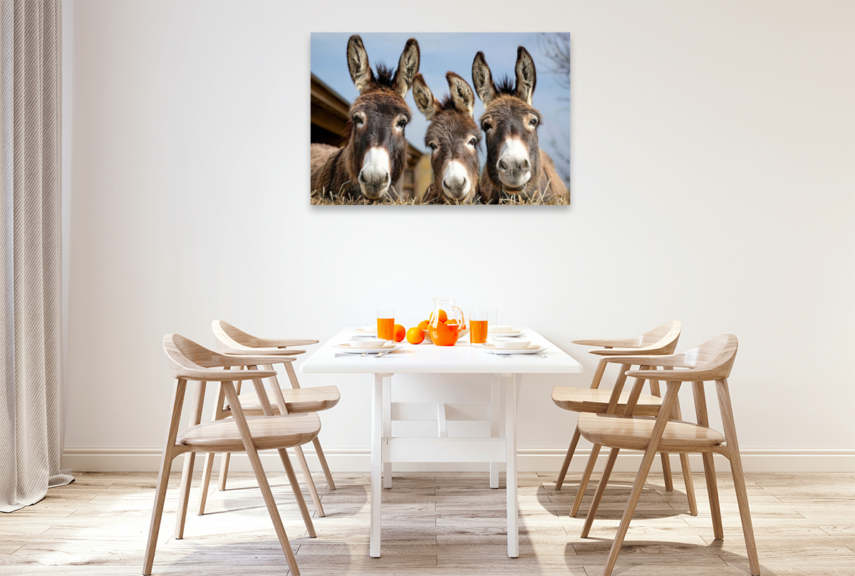 Wir drei vom Bauernhof