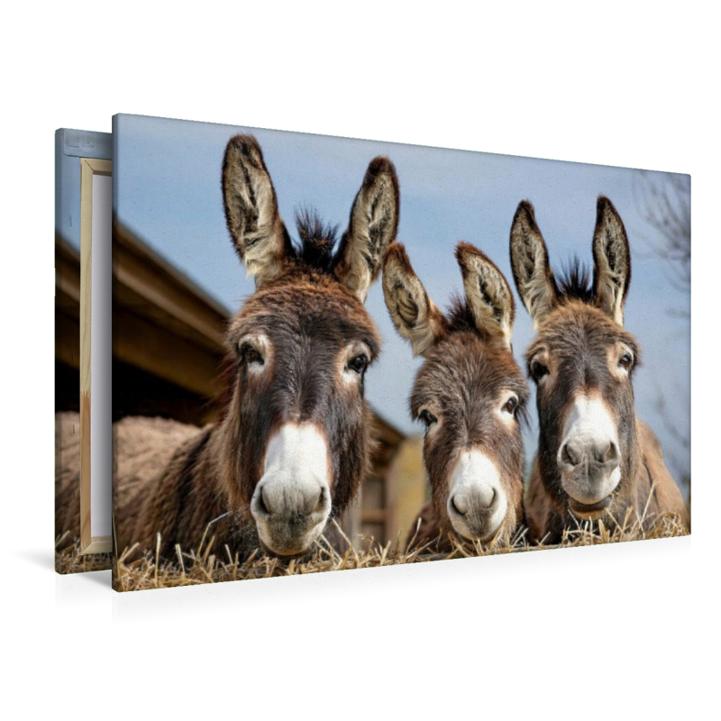 Wir drei vom Bauernhof