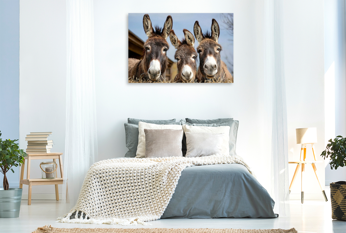 Wir drei vom Bauernhof