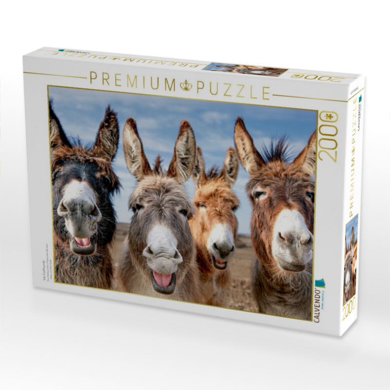 Vier Eselfreunde
