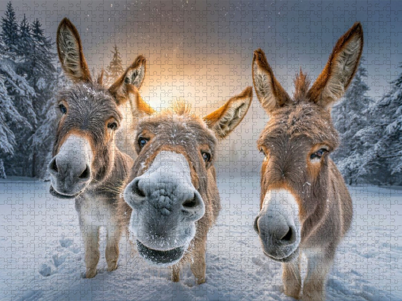 Schnee - so macht der Winter Spaß