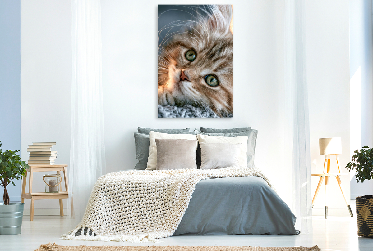 Eine Decke zum Kuscheln nur für mich