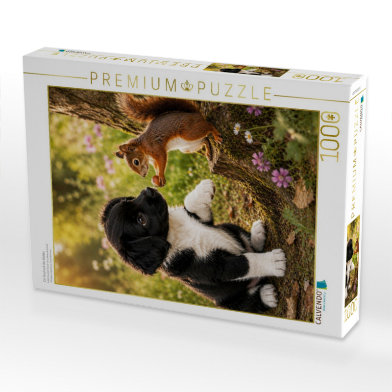 Ein Geschenk des Waldes