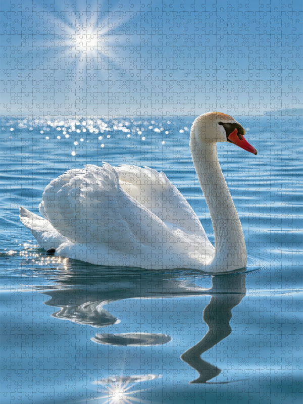 Im Licht des Sommers