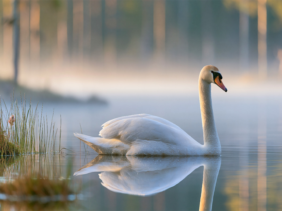 Stille wird sichtbar