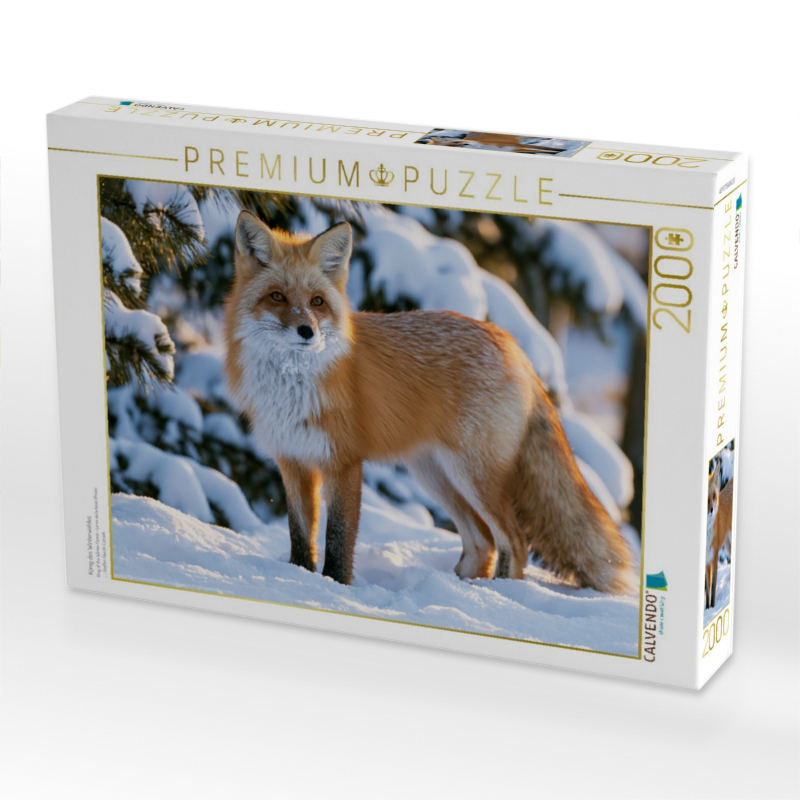 König des Winterwaldes