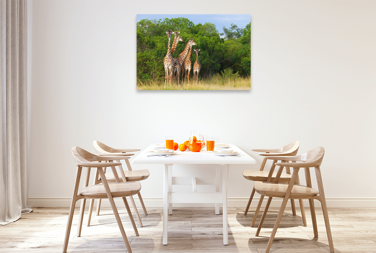 Südafrikanische Giraffen, Okavango Delta, Botswana.