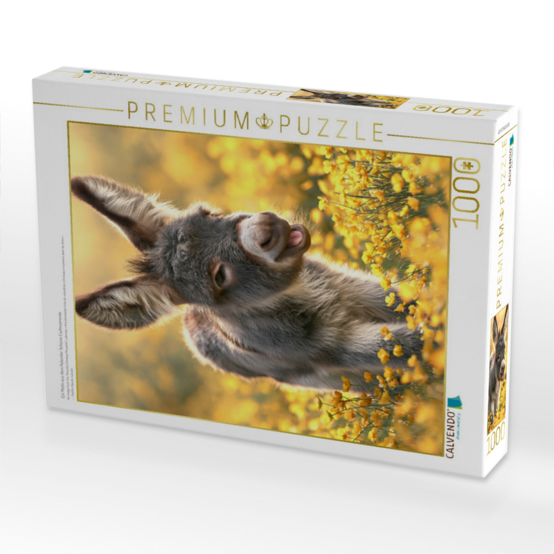 Ein Motiv aus dem Kalender Schöne Eselmomente