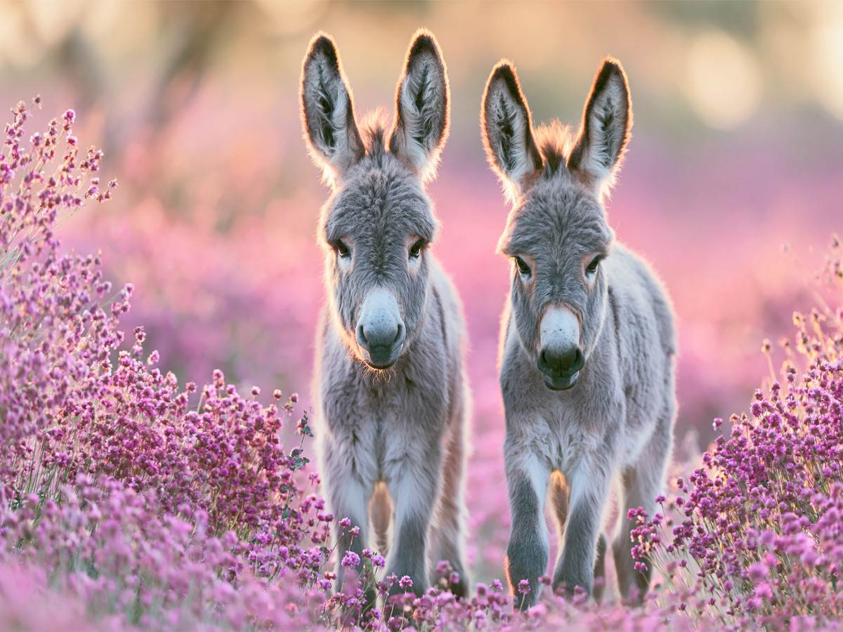 Freundschaft macht jeden Tag heller