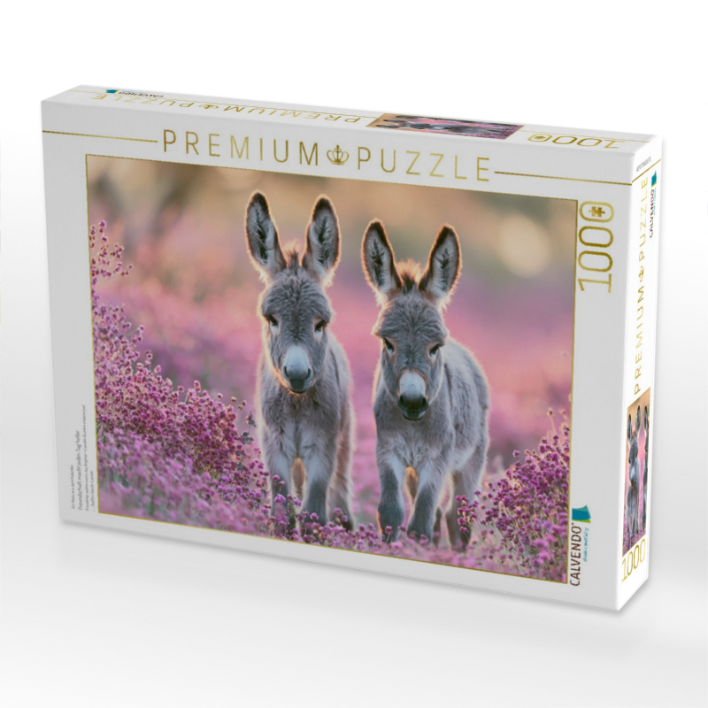 Freundschaft macht jeden Tag heller