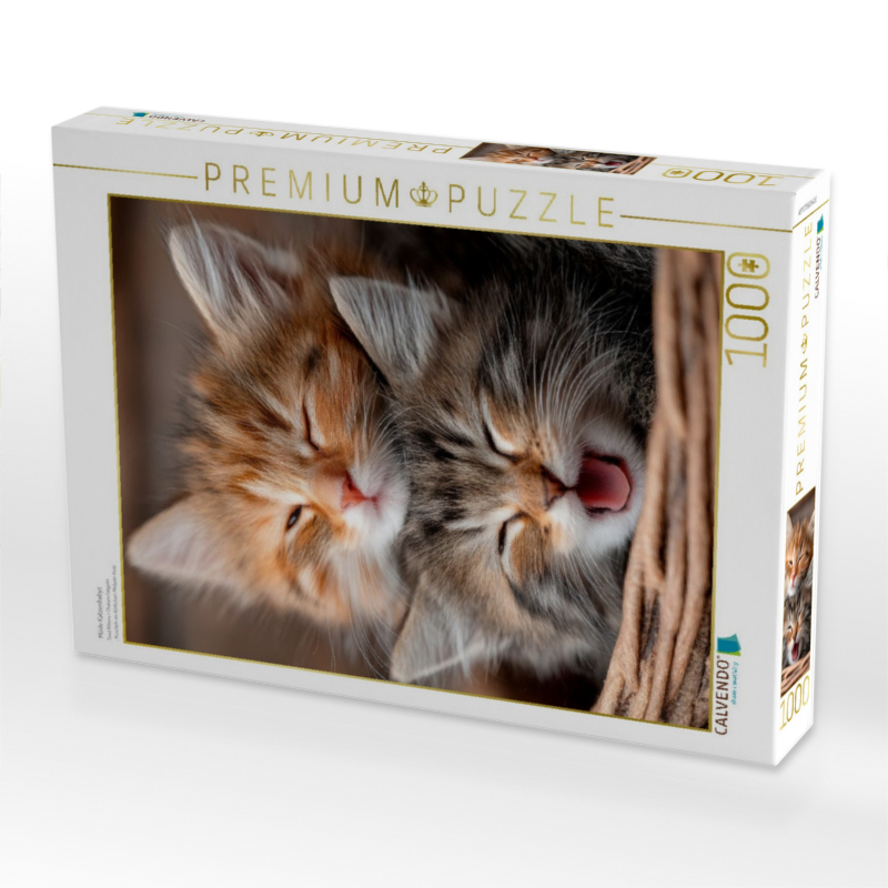 Müde Katzenbabys