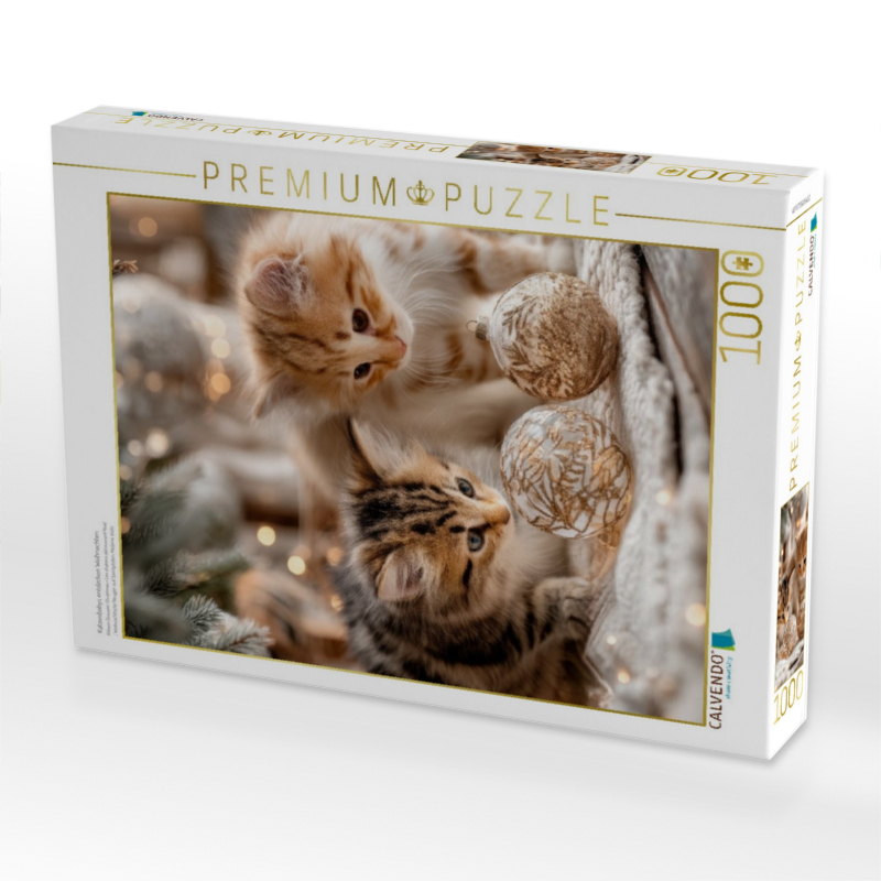 Katzenbabys entdecken Weihnachten