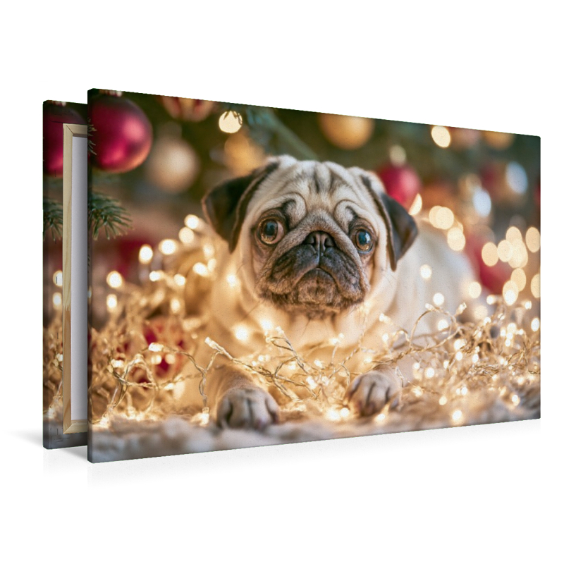 Weihnachten ist Liebe auf vier Pfoten