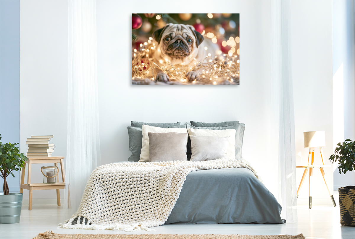 Weihnachten ist Liebe auf vier Pfoten
